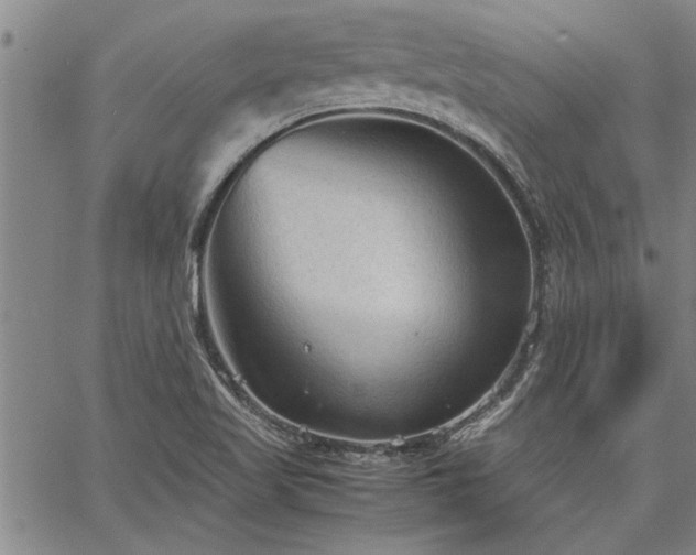 X0000067521509200604071308