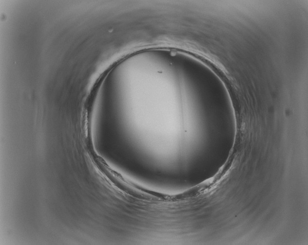 X0000067521510200604071308