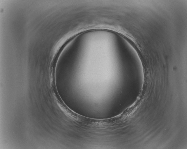 X0000067521511200604071308