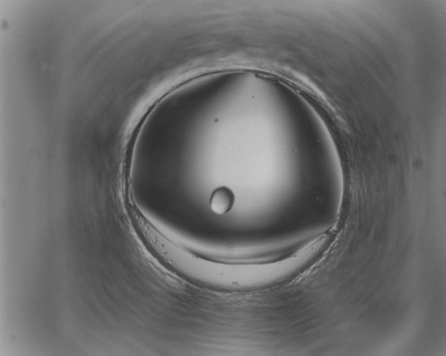 X0000067521512200604071308