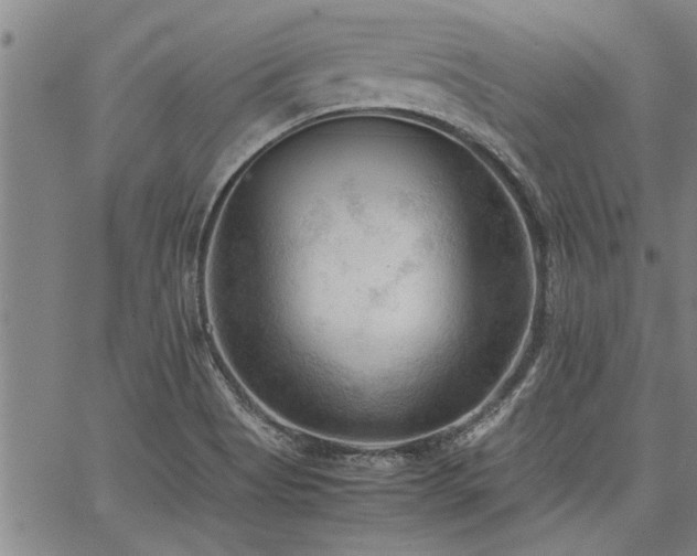 X0000067521513200604071308