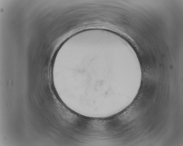 X0000067521514200604071308