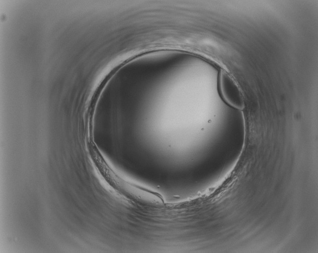 X0000067521515200604071308