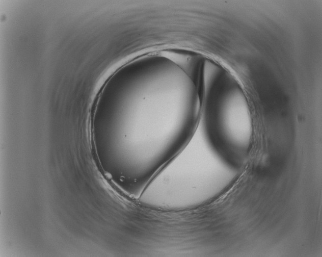 X0000067521516200604071308