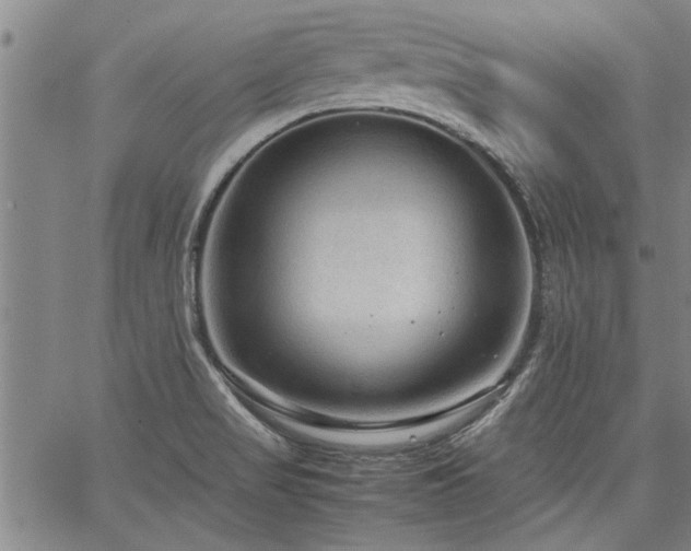 X0000067521517200604071308