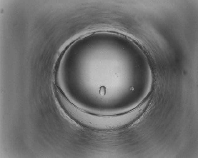 X0000067521518200604071308