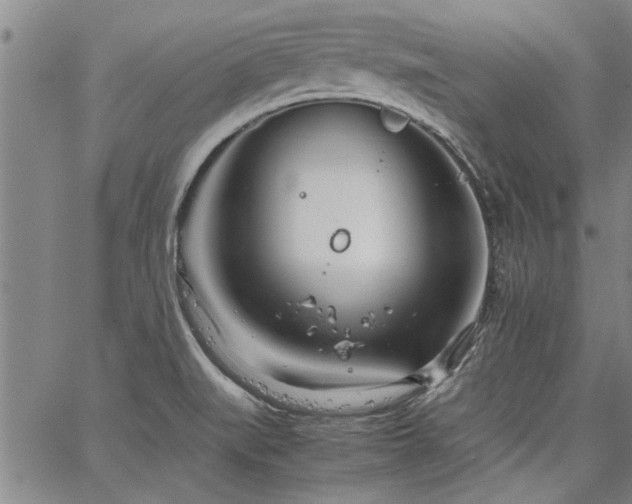 X0000067521519200604071308