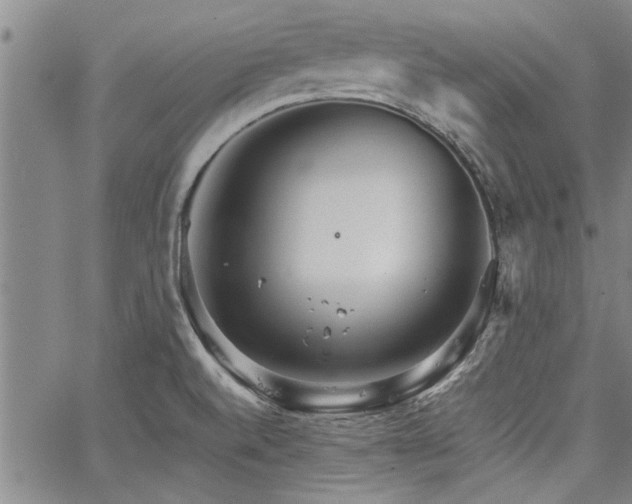 X0000067521520200604071308