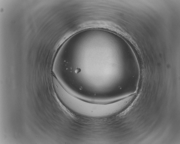 X0000067521521200604071308