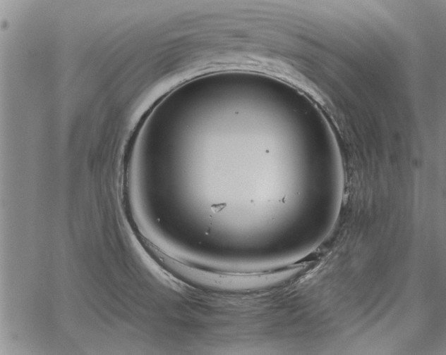 X0000067521523200604071308