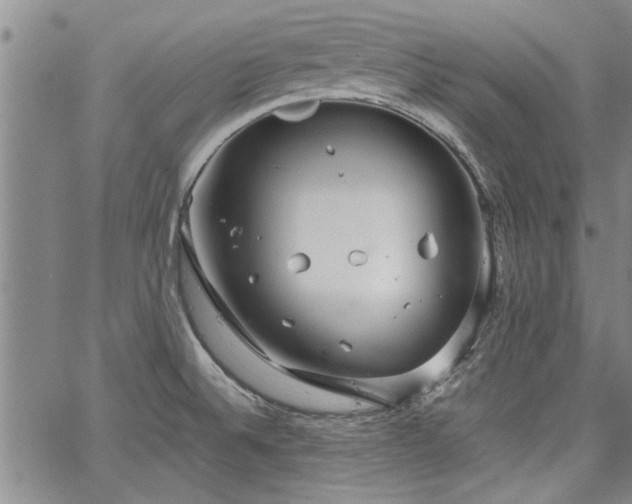 X0000067521524200604071308