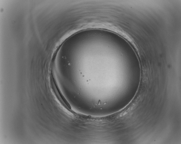 X0000067521525200604071308