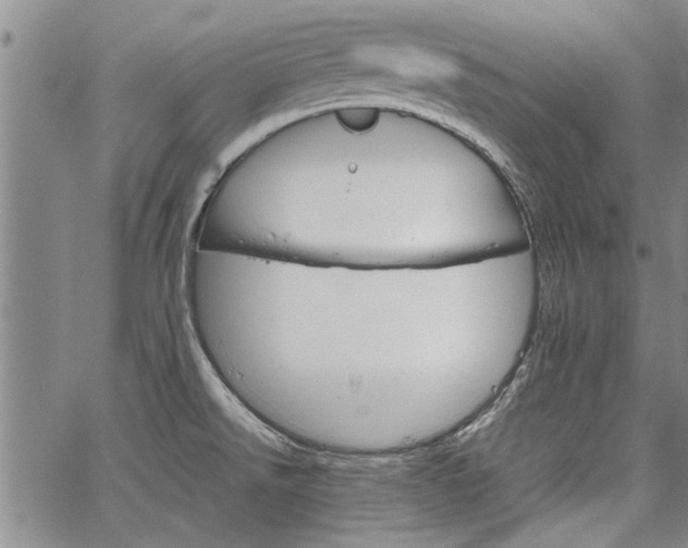 X0000067521526200604071308