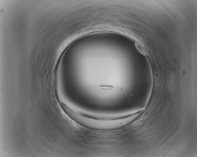 X0000067521527200604071308