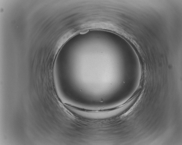 X0000067521529200604071308