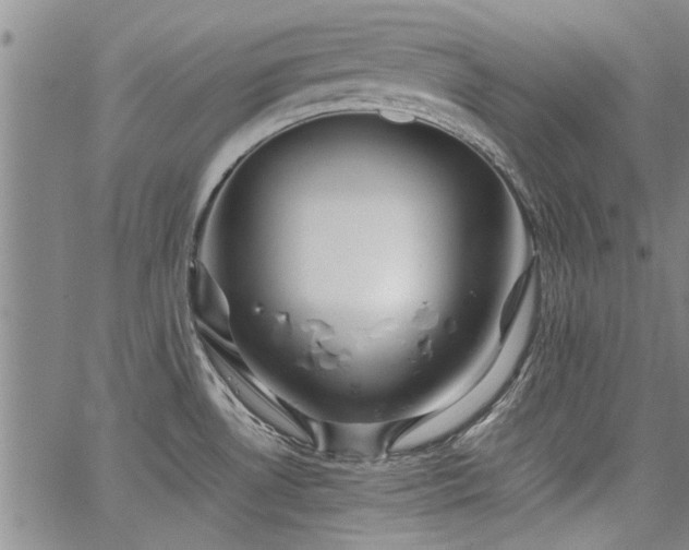 X0000067521530200604071308