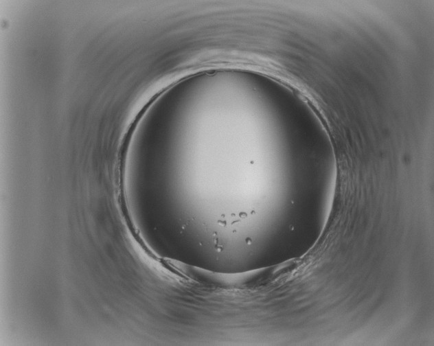 X0000067521531200604071308