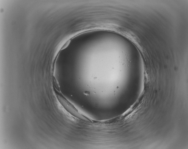 X0000067521532200604071308