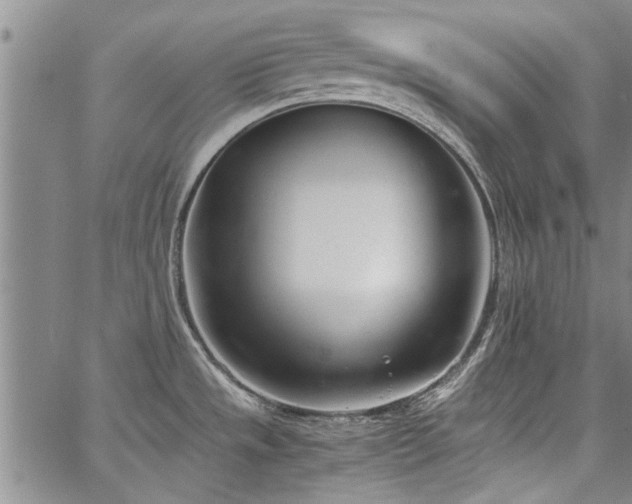 X0000067521533200604071309