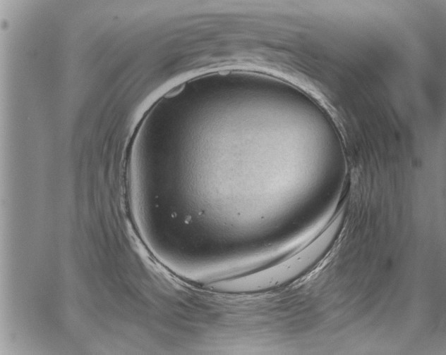 X0000067521534200604071309