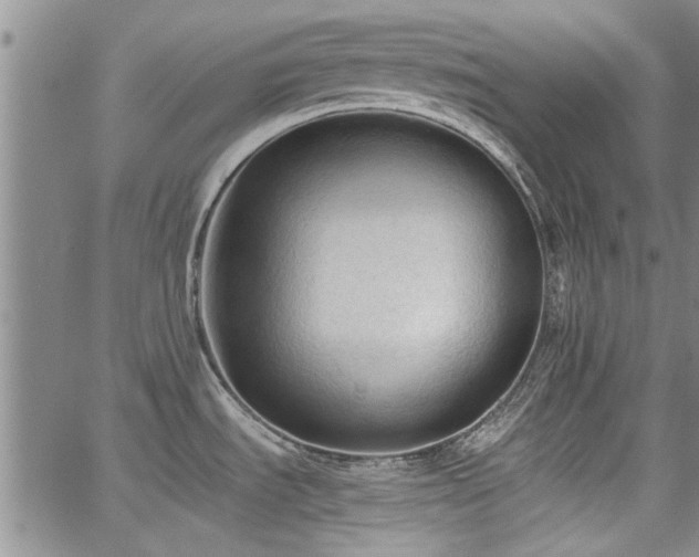 X0000067521535200604071309