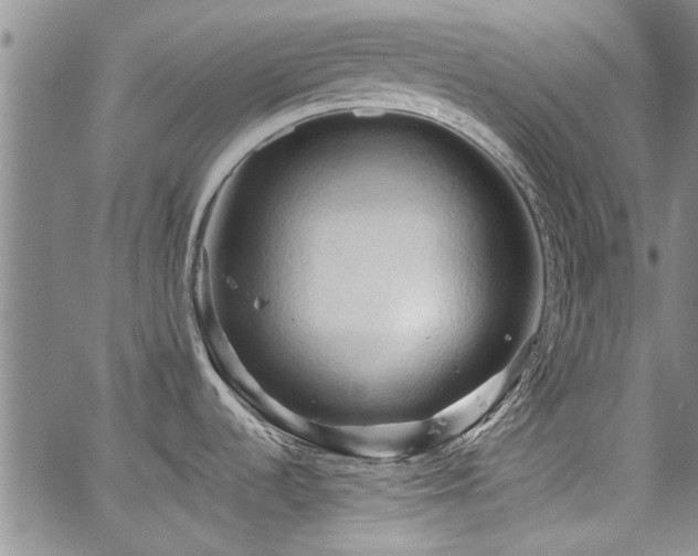 X0000067521536200604071309