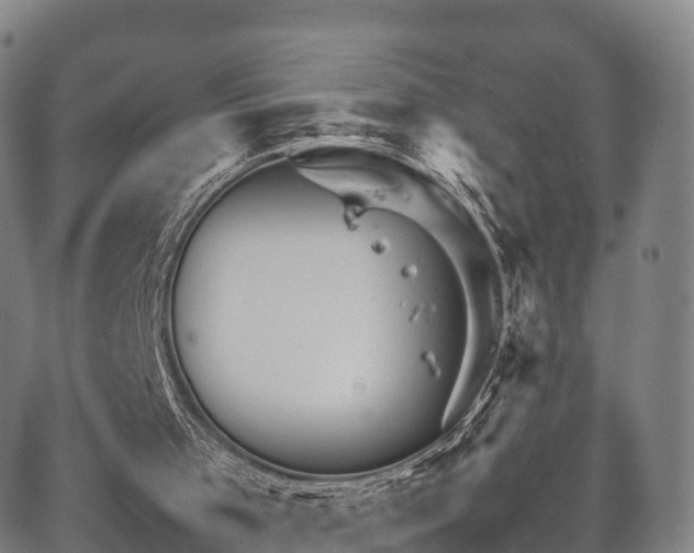 X0000067520001200604101338