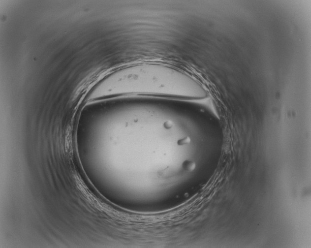 X0000067520002200604101338