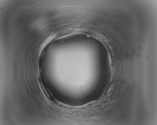 X0000067520003200604101338