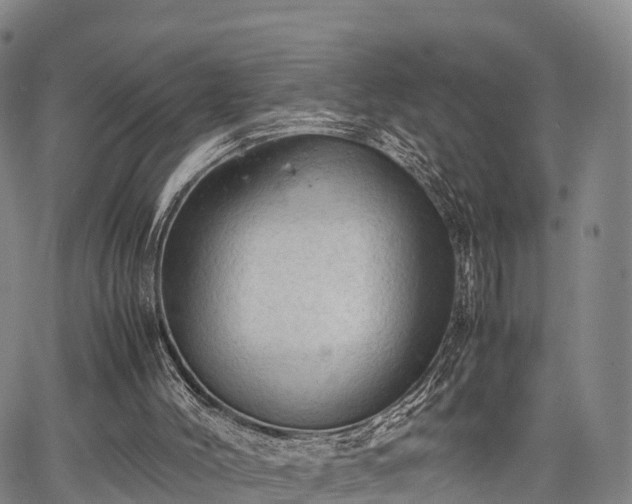 X0000067520004200604101338