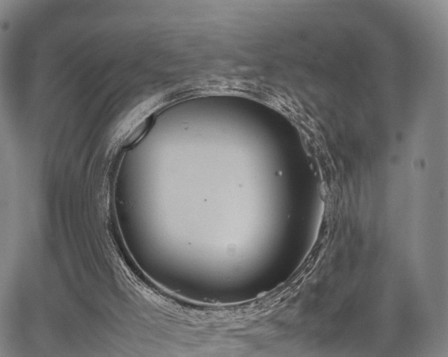 X0000067520005200604101338