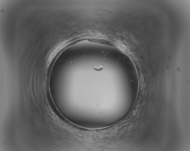 X0000067520007200604101338