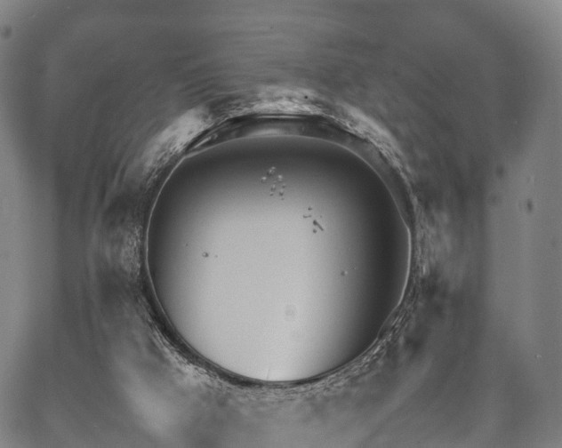 X0000067520009200604101338