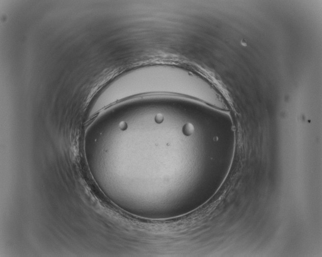 X0000067520010200604101338