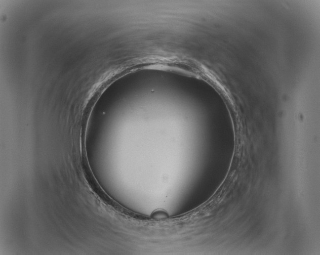 X0000067520011200604101338