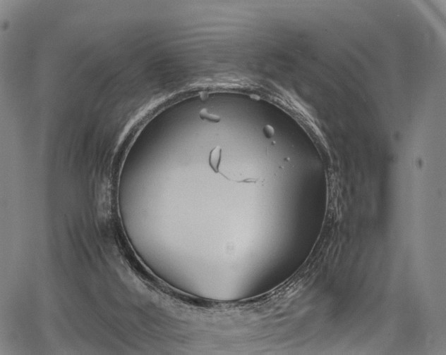 X0000067520012200604101338