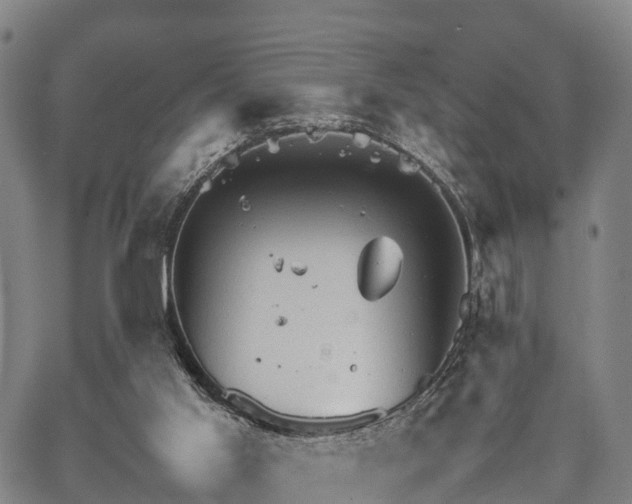 X0000067520013200604101338