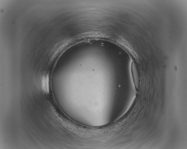 X0000067520014200604101338