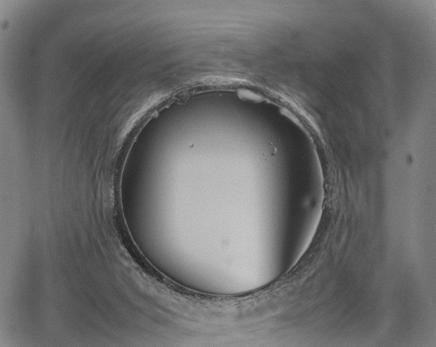 X0000067520015200604101338