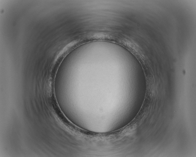 X0000067520016200604101338