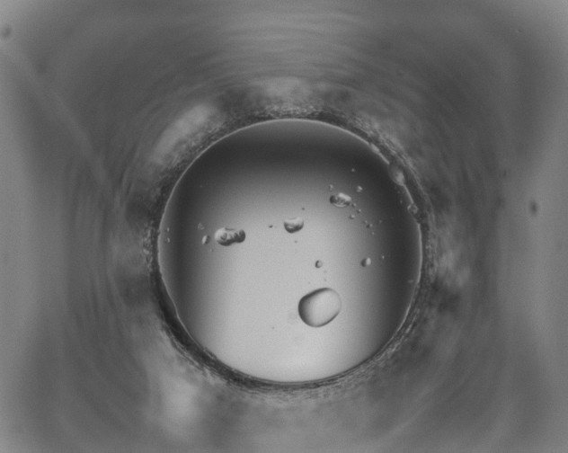 X0000067520017200604101338