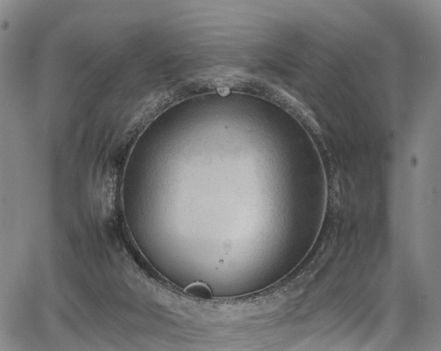 X0000067520018200604101338