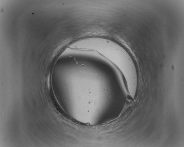 X0000067520019200604101338