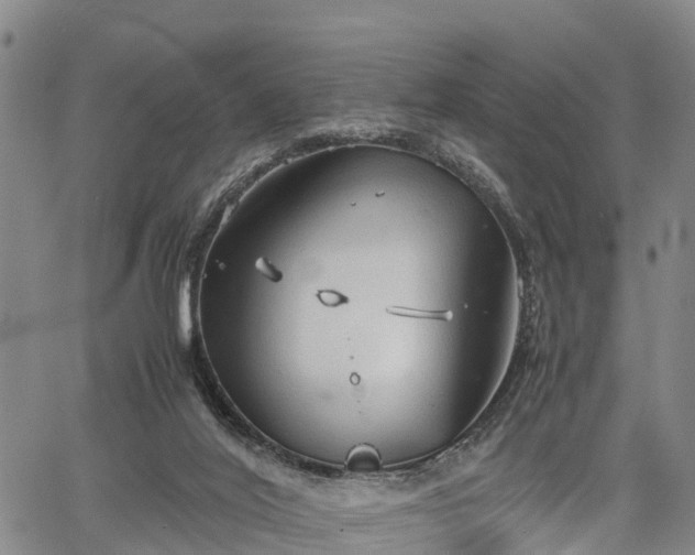 X0000067520020200604101338