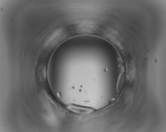 X0000067520021200604101338