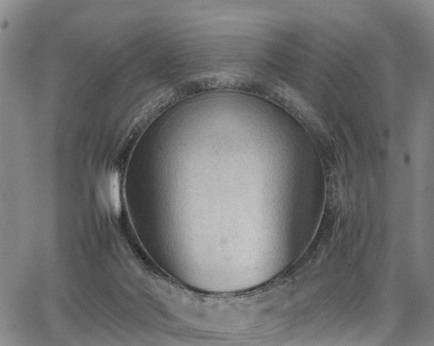 X0000067520022200604101338