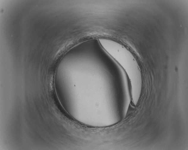 X0000067520023200604101338