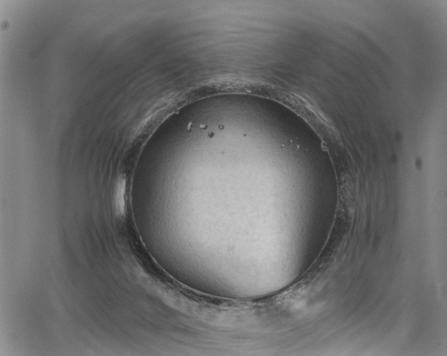 X0000067520024200604101338