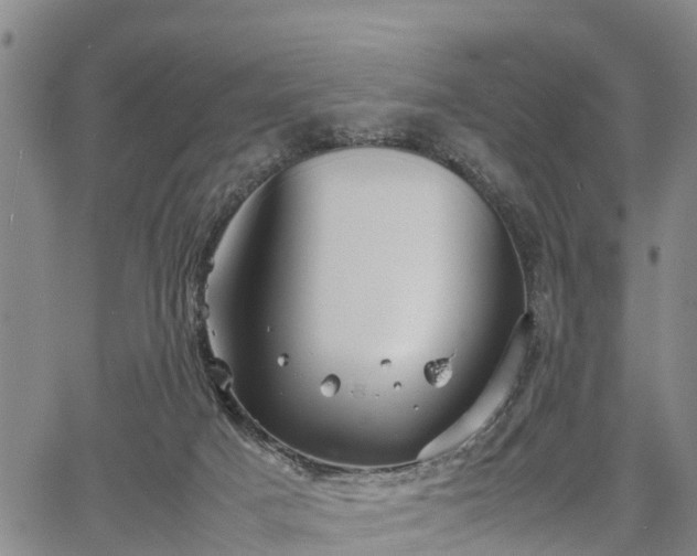 X0000067520025200604101338