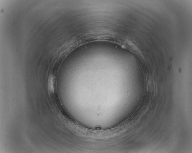 X0000067520026200604101338